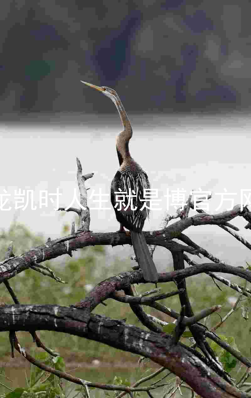尊龙凯时人生就是博官方网站