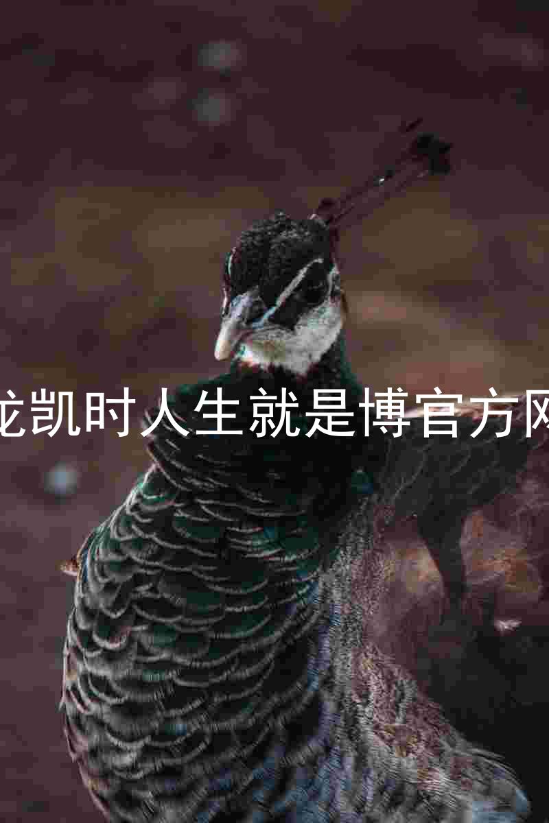 尊龙凯时人生就是博官方网站