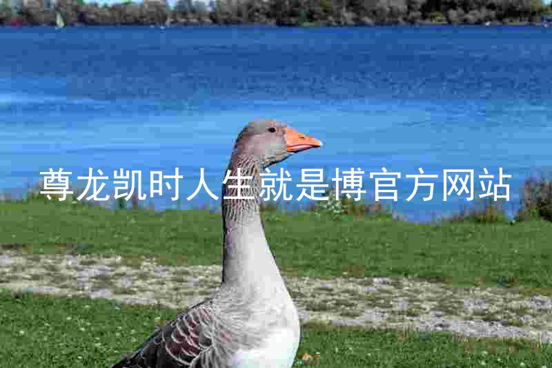 尊龙凯时人生就是博官方网站