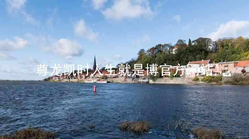尊龙凯时人生就是博官方网站